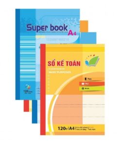 Sổ kế toán tổng hợp