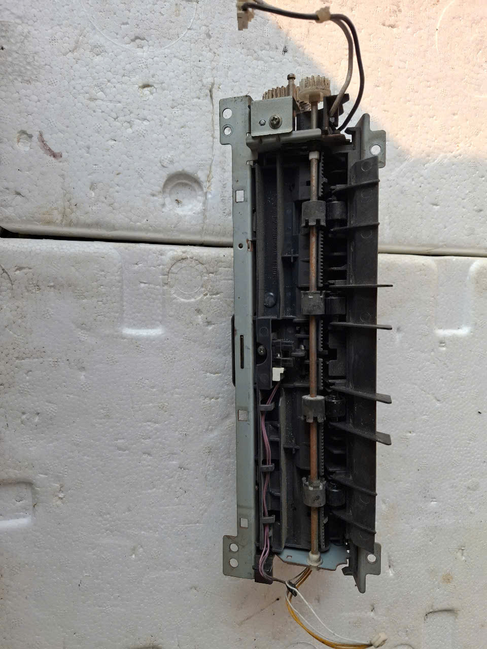 z6431658002463_11f71c889b47f5666a4c7502195a83a1